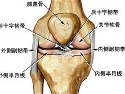 半月板损伤指哪里损伤，要怎么治疗