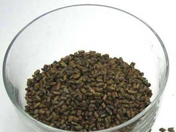 决明子的减肥功效