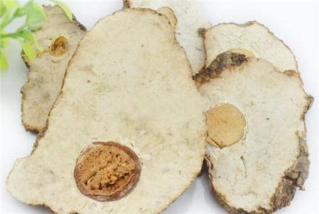 茯神和茯苓傻傻分不清 茯神的功效与作用及食用方法