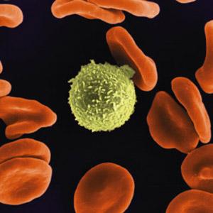 白细胞偏低 白细胞偏低会引起很多疾病