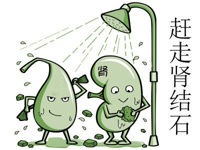 肾结石饮食注意哪些