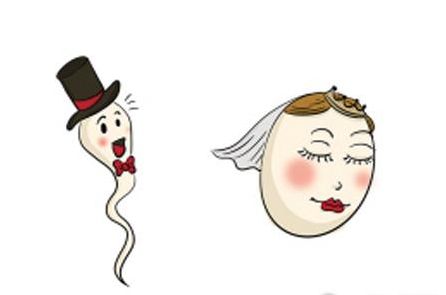 卵子的通道输卵管不通怎么办