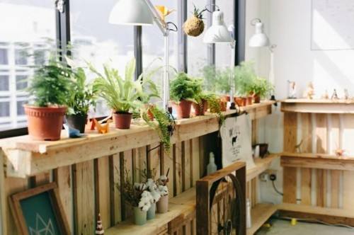 甲醛对人体健康危害大 怎样消除甲醛