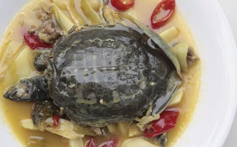 甲鱼怎么杀，以下方法教你杀甲鱼