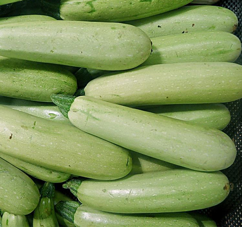 清热利尿 西葫芦的营养价值及功效介绍