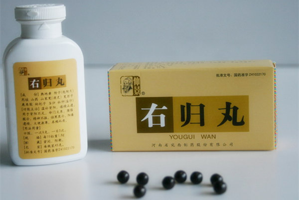 什么是右归丸 右归丸的功效与作用