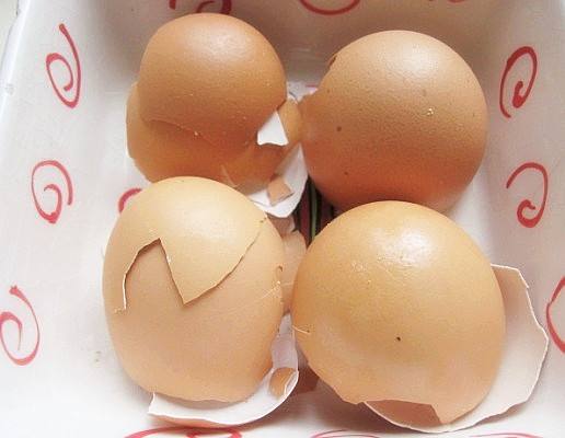 鸡蛋壳的主要成分