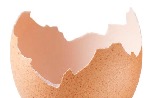 鸡蛋壳的妙用 十大妙用让你意想不到