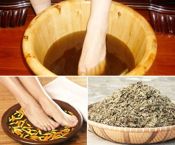 艾叶泡脚的方法 艾叶泡脚能去虚火和寒火你知道吗