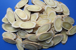 固表止汗 生黄芪的功效作用及用药禁忌介绍