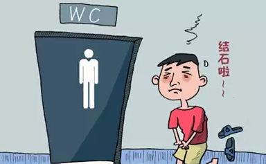 尿结石吃什么好