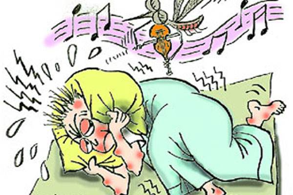 几种秘技让蚊子消失 驱蚊方法