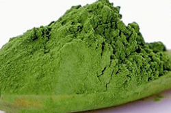 防癌抗癌 茶多酚的功效与作用介绍