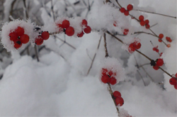 值得收藏 12条冬天生活小常识介绍