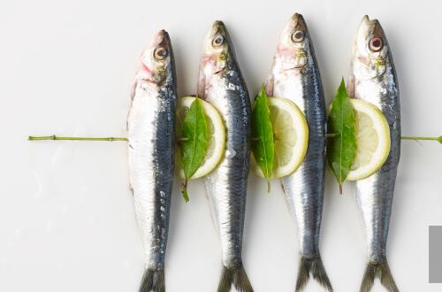 沙丁鱼的营养价值 富含蛋白质和DHA