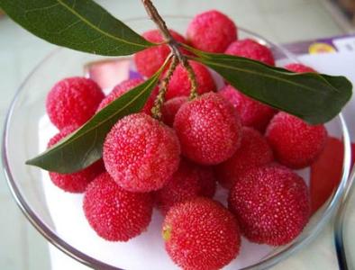 孕妇能吃杨梅吗 孕妇吃杨梅的注意事项你需了解