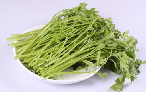 掩盖口臭吃什么及口臭怎么去除小窍门