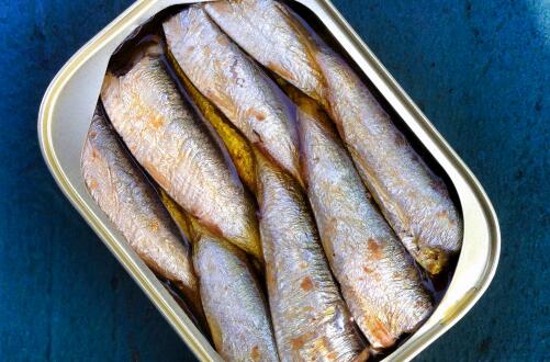 沙丁鱼的营养价值