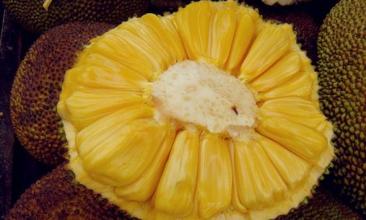 菠萝蜜的核能吃？菠萝蜜的核怎么吃