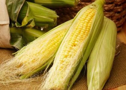 关于玉米须水你不知道的秘密