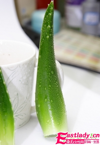 大自然的神奇能量 8种护发能量