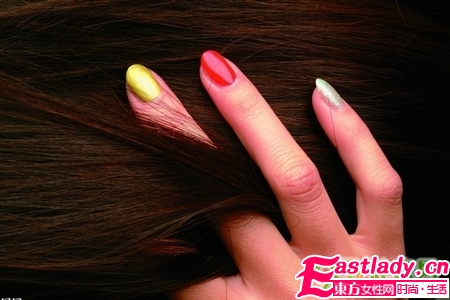 头发的生长周期与数量