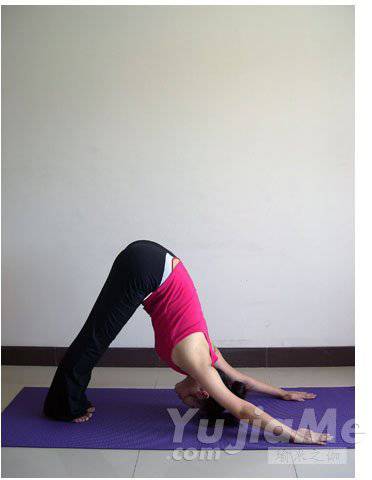 瑜伽拜日十二式详解 瑜伽初学者必看