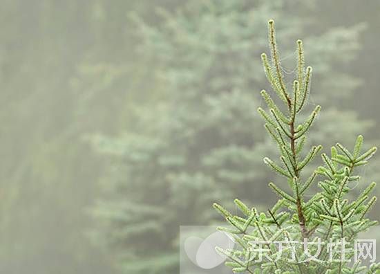 这六款香薰最适合全方位缓解日常压力