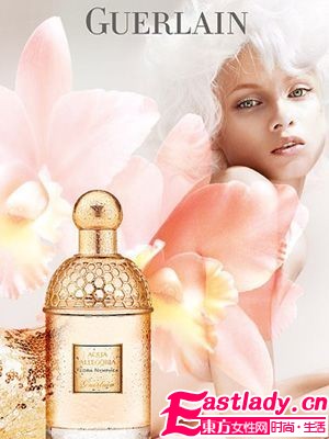 10款清新森林系香氛 营造你心中的森林