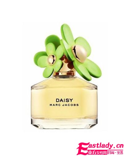 淡淡花香 Marc小雏菊又出新版本