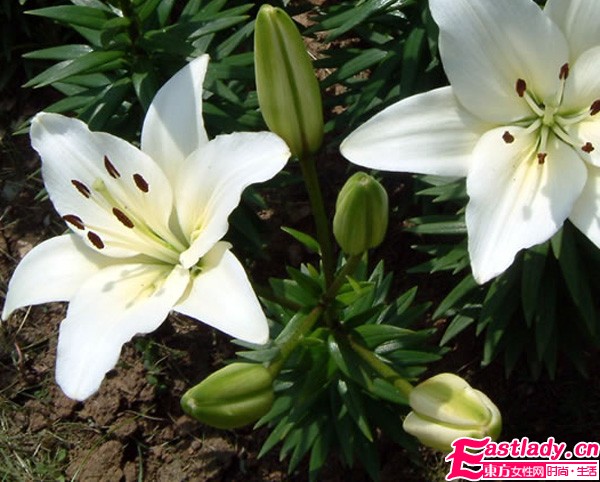 香水使用的18个禁忌