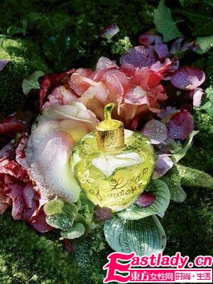 绿野仙踪 10款格调香氛清新于心