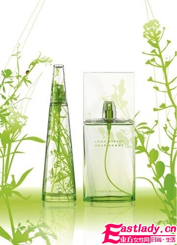 香氛七个基本调调大揭秘