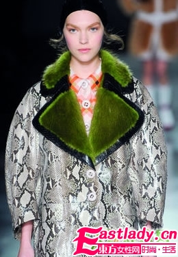 野性的动物妆容 不一样的你