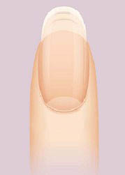 图解美甲基础学问(二)