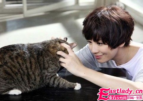 迷倒众人 女星惊艳假发造型大PK