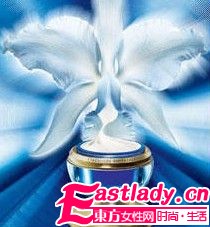 从A到Z 37个品牌明星产品全扫荡