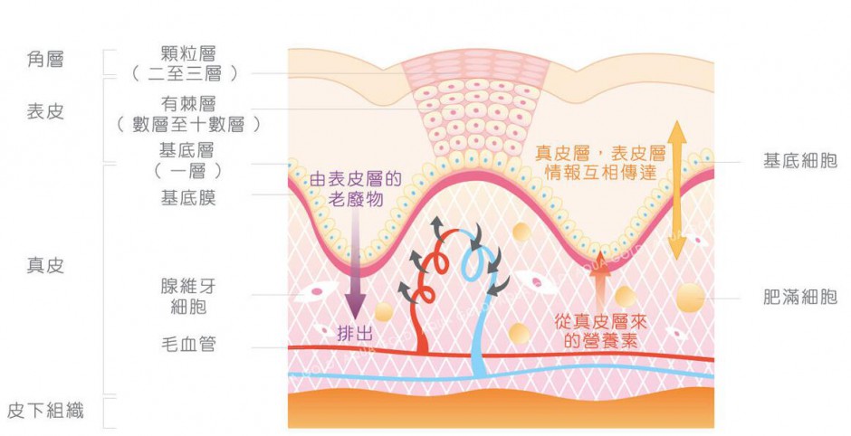 去角质什么牌子好 超人气去角质产品推荐
