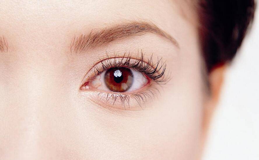 眼袋是怎么形成的 4招教你快速去眼袋