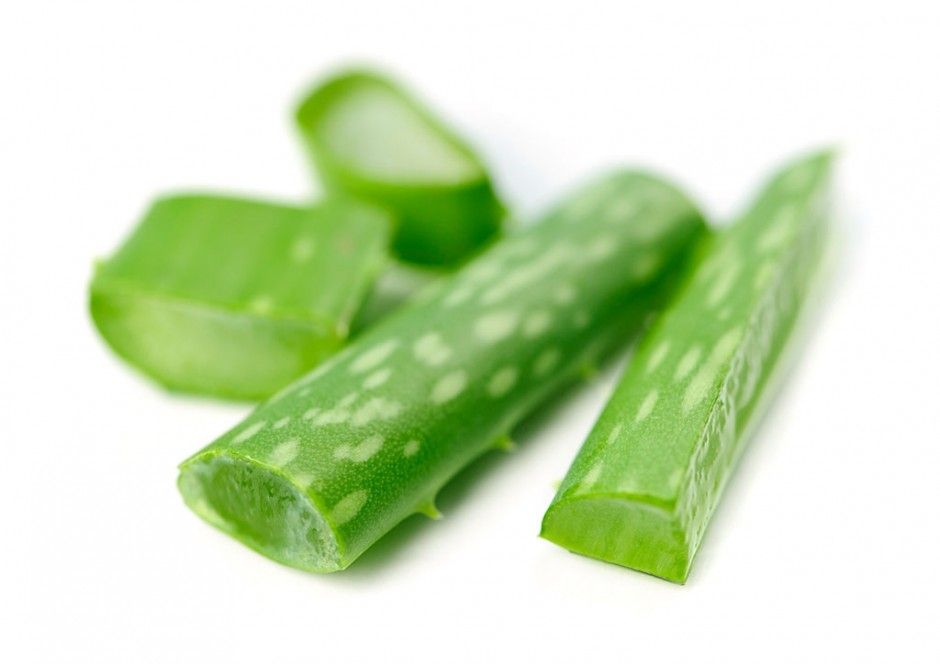 芦荟如何美容 芦荟四大美容功效大揭秘