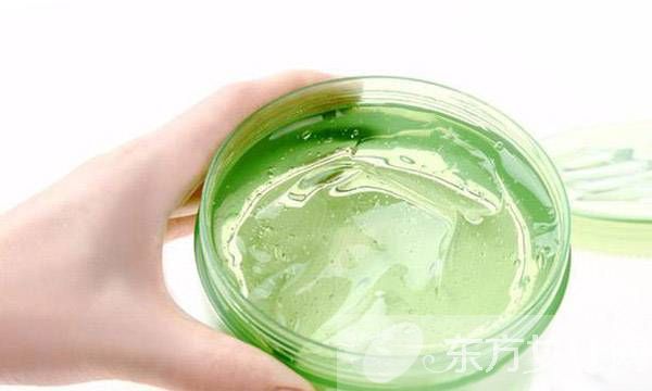 芦荟胶的功效与作用 这些注意事项一定要了解哦