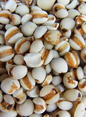 吃什么可以美白 哪些食物有美白功效