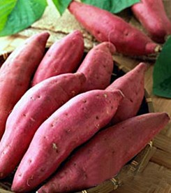 吃什么可以美白 这些食物能够让你一生美白