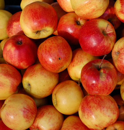 秋季护肤小常识  六种水果必不可少