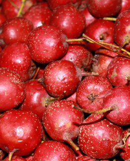 美容养颜 深秋去燥养颜多食九种水果效果佳