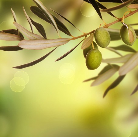 抗皱水果推荐 8种食物是女性 抗皱专家