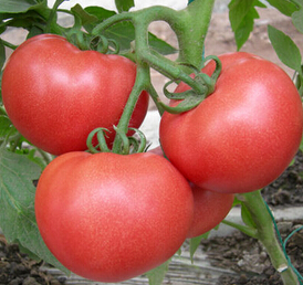 夏季护肤 9个护肤好习惯美美的迎接夏天