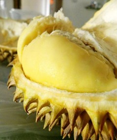 美容护肤  难吃 食物大盘点养生功效惊人