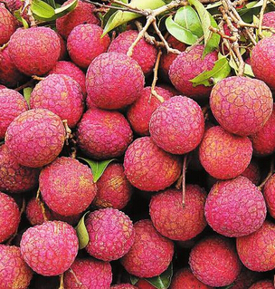 女人吃什么排毒养颜 电脑族美容护肤食物