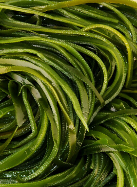 如何抗衰老 抗衰老的美容护肤方法